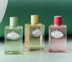 Prada Les Infusion Flaconi